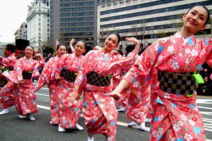 Kirschblüten Sakura Kimono Tanzende Frauen auf einem Straßenfest